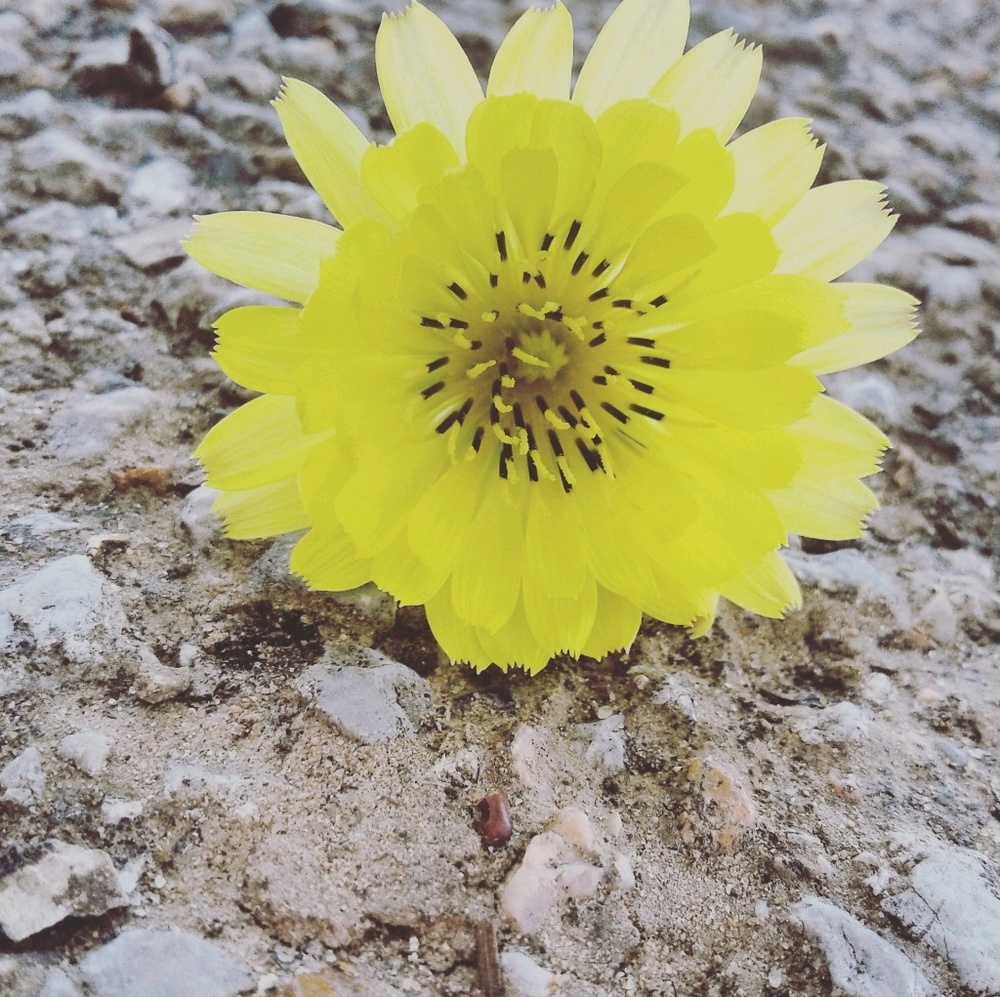 Meet your Posher, Sinclair